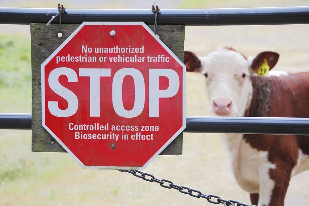 stop sign with biosecurity in effect written on it