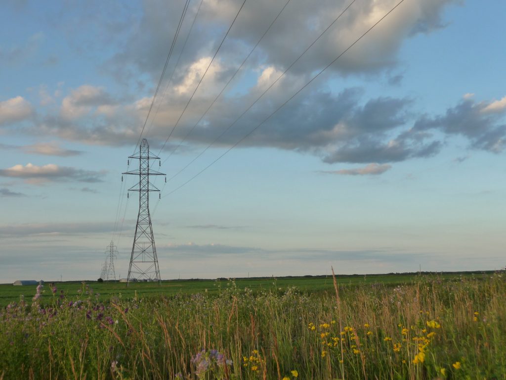 prairie fields with powerlines